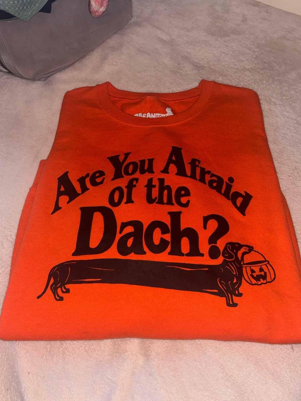 Women’s Orange 'Are You Afraid of the Dach?' Halloween Sweatshirt - Bean Goods